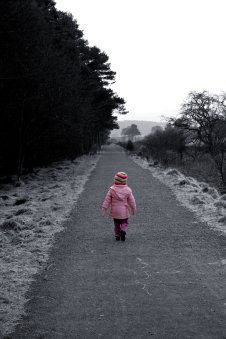 Pequeña_de_rosa_en_camino_invernal_922827_93842866