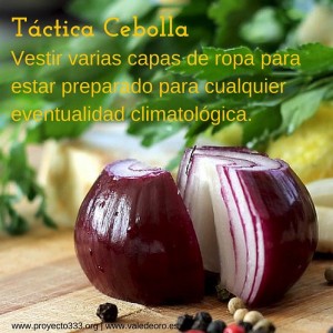 [P333] Táctica Cebolla